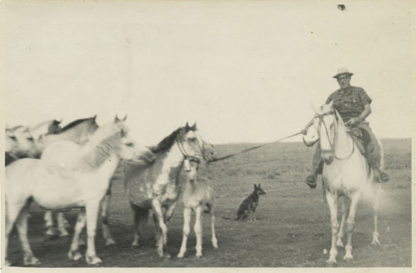 En el Campo 'La Torre' de Manchacabaso del Partido de Pila. 1966.